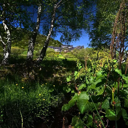 Sancy